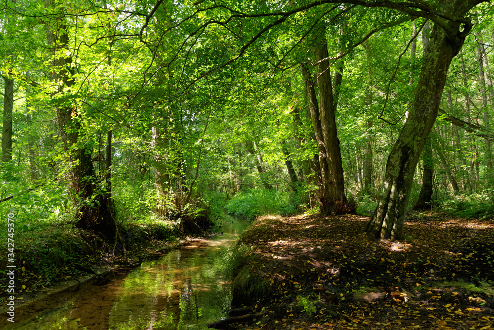 Ru des Vaux river in the Chevreuse valley regional nature park Ru des Vaux river in the Chevreuse valley regional nature park