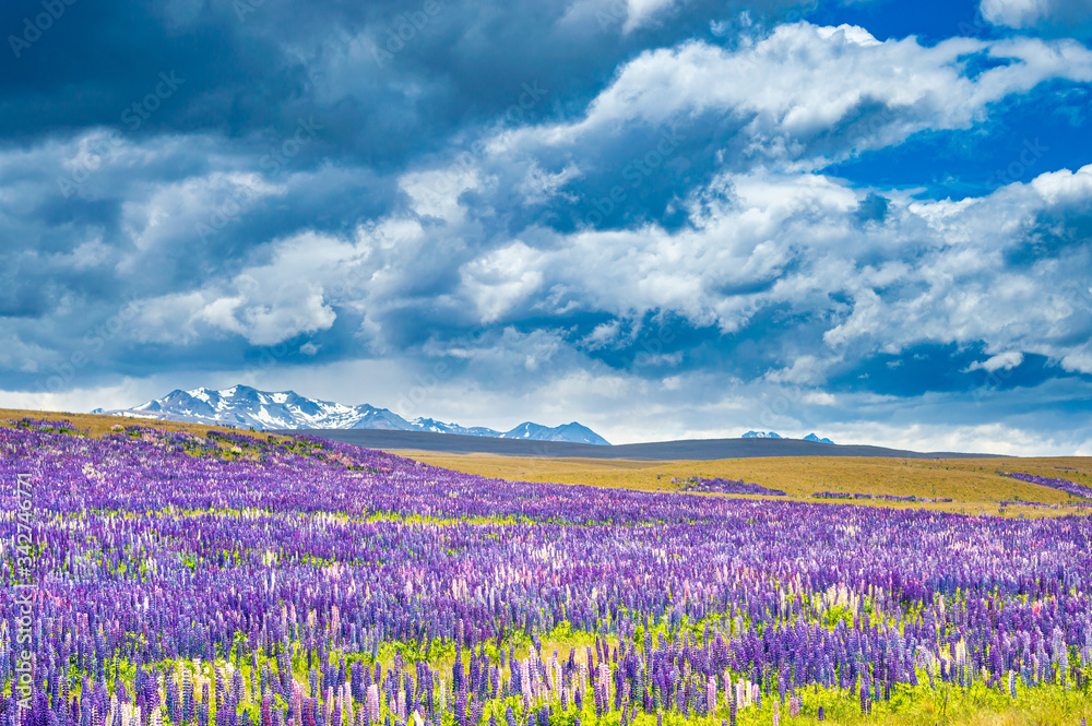 Fototapeta premium Lavender landscape with mountains under cloudy sky
