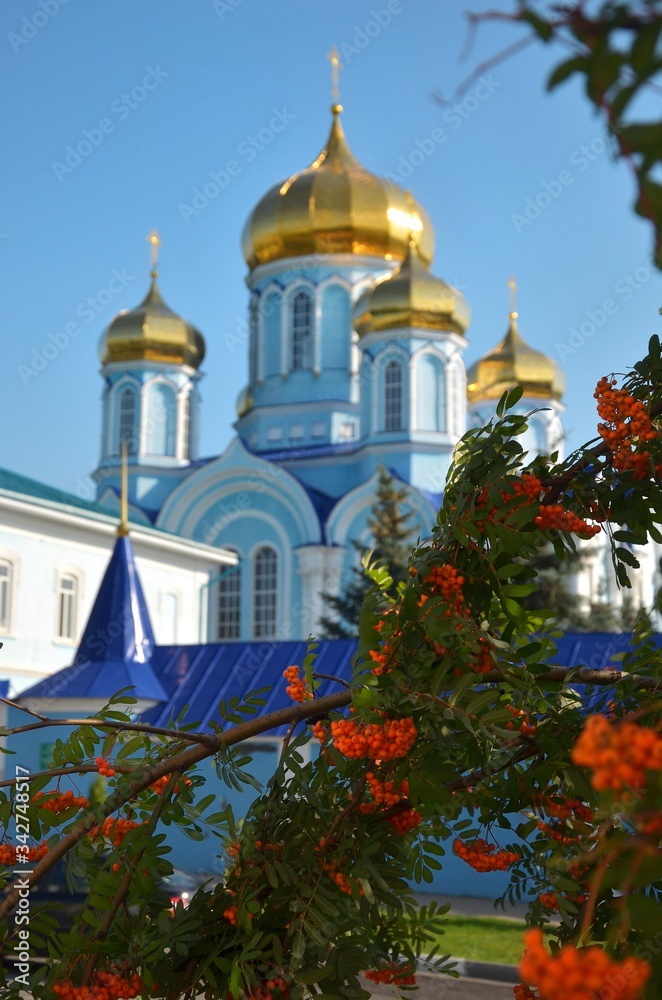 Church of the Vladimir Icon of the Mother of God in Zadonsk