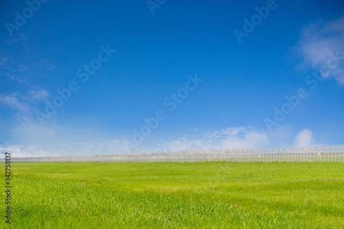 green grass and blue sky background with metal fence at the middle