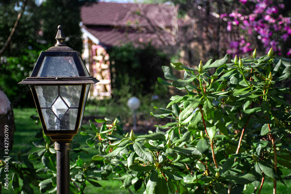 Glass lantern in the garden.