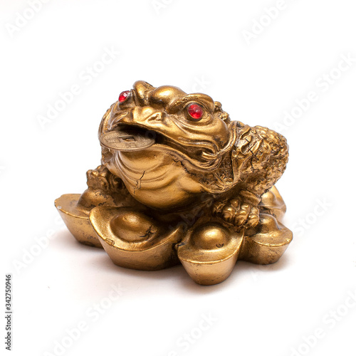 Gold Chinese Money Frog with Coin in Mouth isolated on white