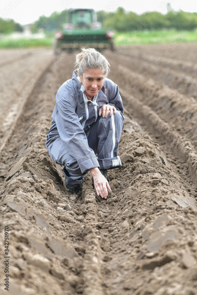Agronomist analyses the soil before planting Agronomist analyses the soil before planting