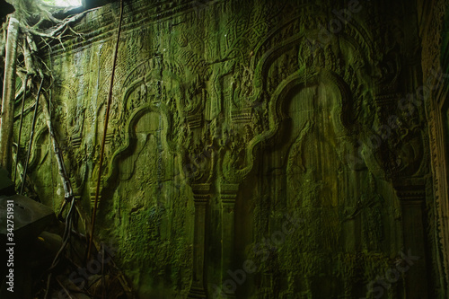 Ta Prohm Temple in Cambodia