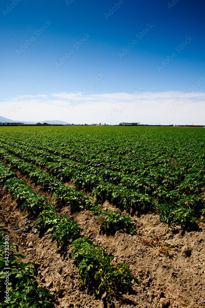 Agricultural land