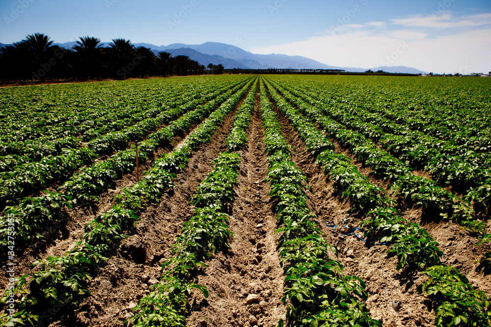 Agricultural land