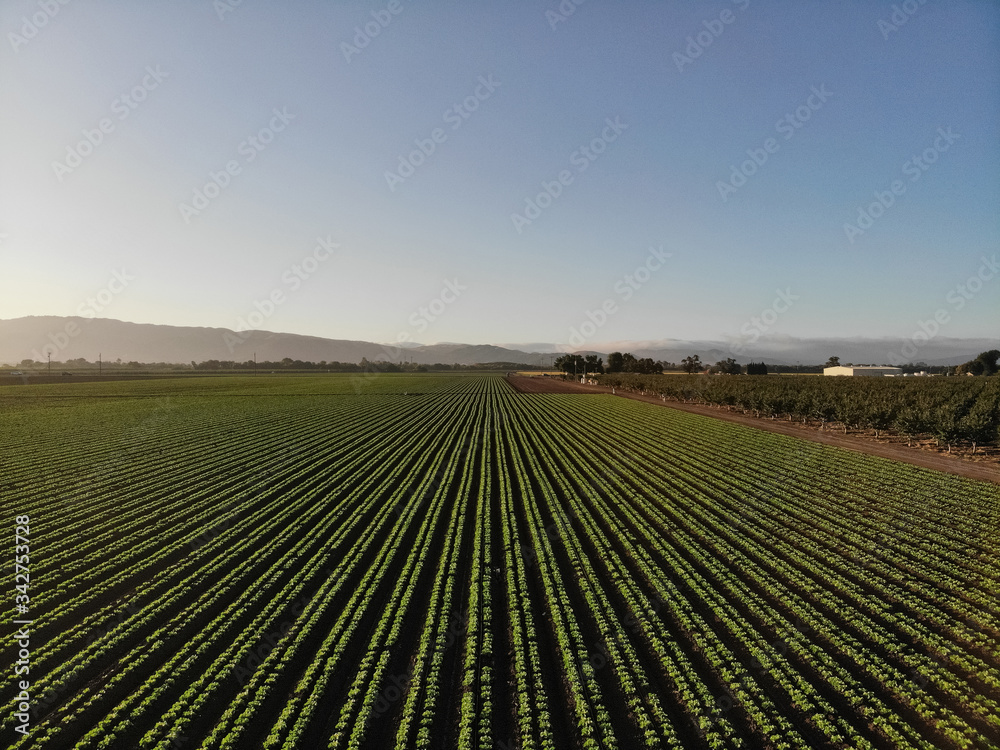 Agricultural land Agricultural land
