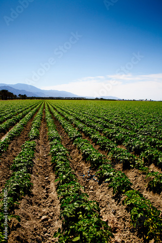 Agricultural land