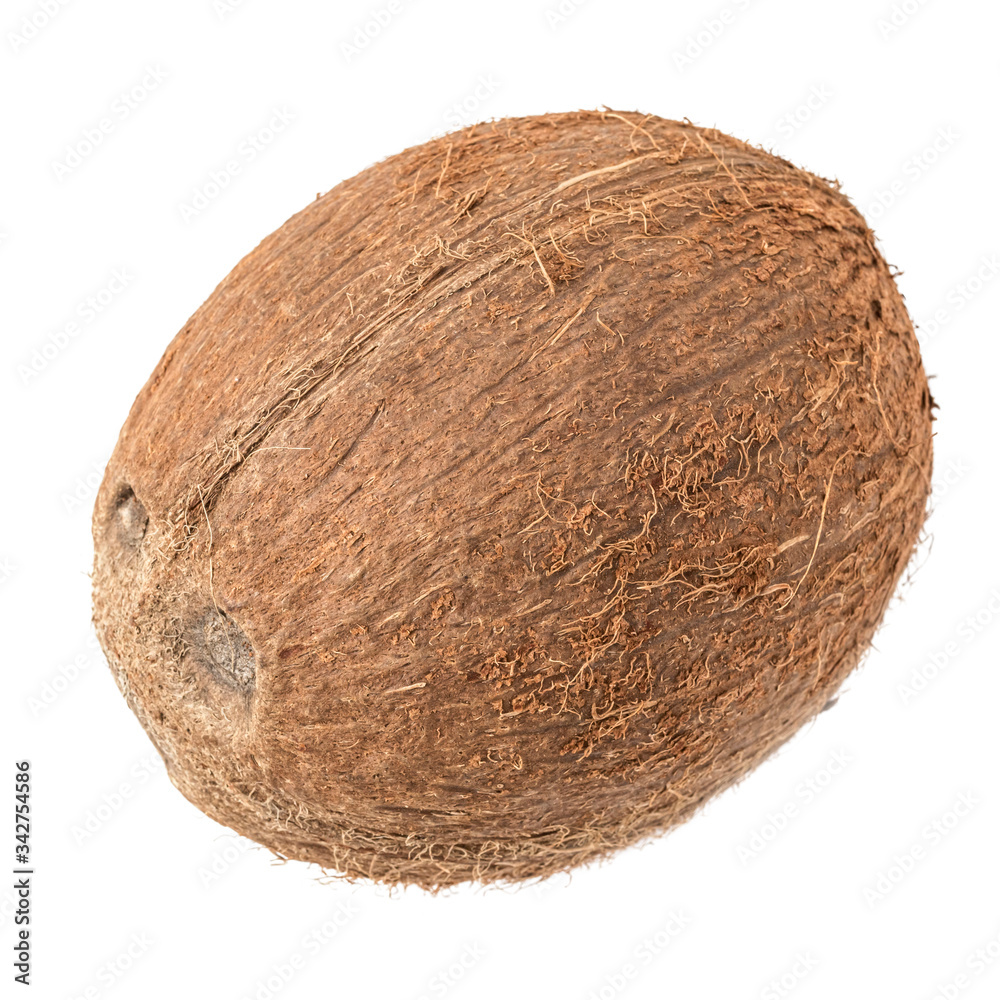 whole ripe coconut in a shell on a white background isolate whole ripe coconut in a shell on a white background isolate
