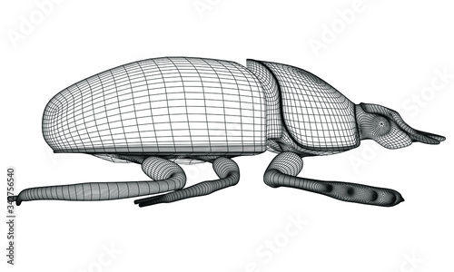 Vector illustration of a scarab. Abstract linear insect.
