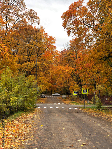 Colorful autumn road in the town
