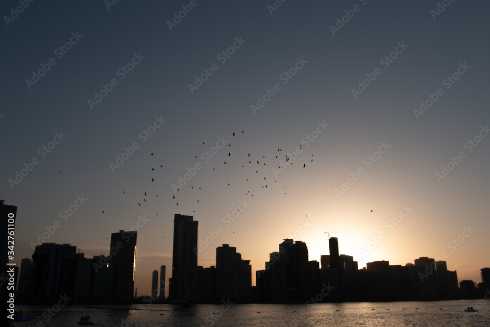 Sunset and flying birds over Sharjah UAE