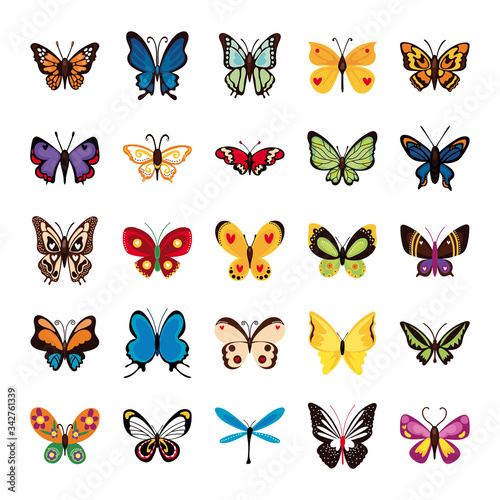 bundle of butterflies set icons