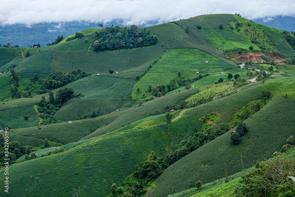 Obraz premium A resort beside rice fields and mountains during the rainy season in Mae La Noi District, Mae Hong Son Province of Thailand.