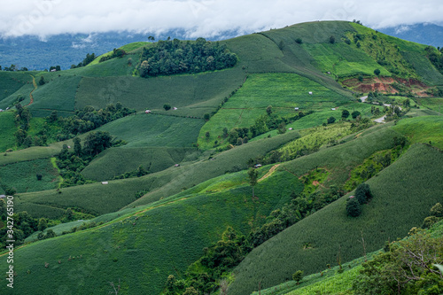 A resort beside rice fields and mountains during the rainy season in Mae La Noi District, Mae Hong Son Province of Thailand.