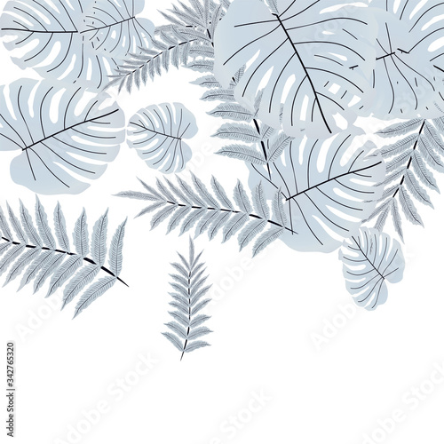  Vector tropical pattern