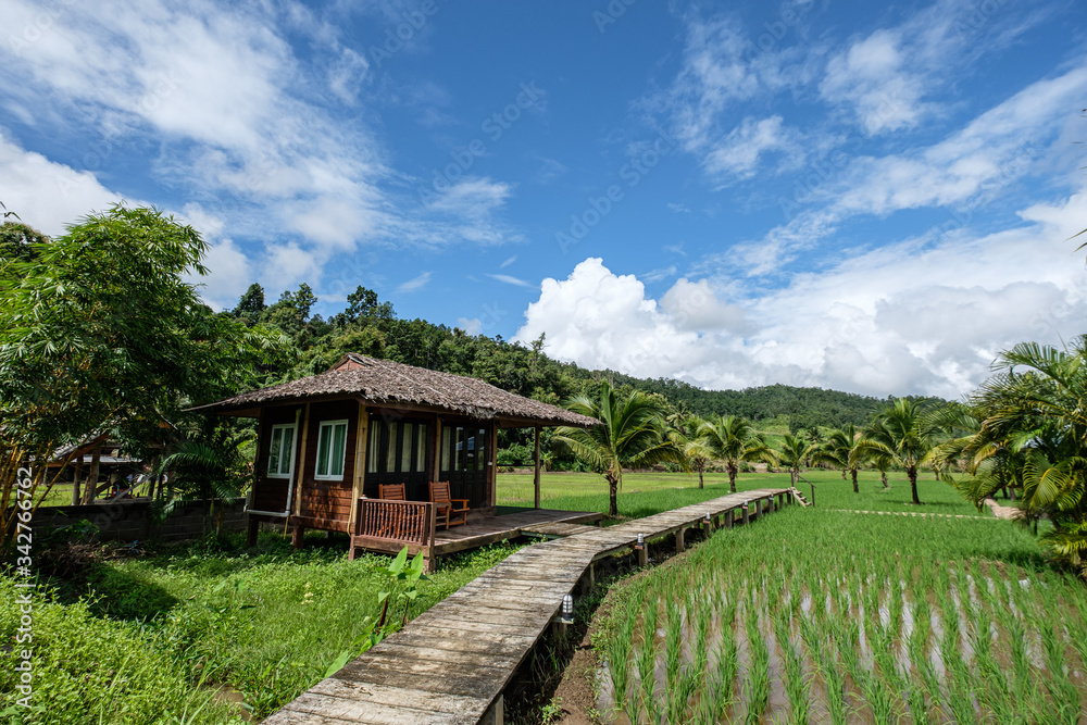 A resort beside rice fields and mountains during the rainy season in Mae La Noi District, Mae Hong Son Province of Thailand. A resort beside rice fields and mountains during the rainy season in Mae La Noi District, Mae Hong Son Province of Thailand.