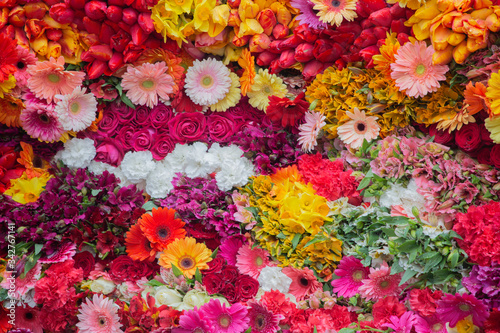 Fototapeta Naklejka Na Ścianę i Meble -  colorful flowers background