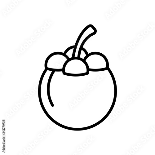Mangosteen fruit line icon
