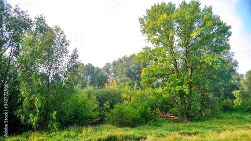 Stara odra koryto rzeki Głogów