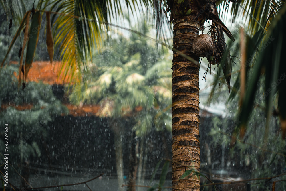 Naklejka premium Heavy rain pours into a large pot