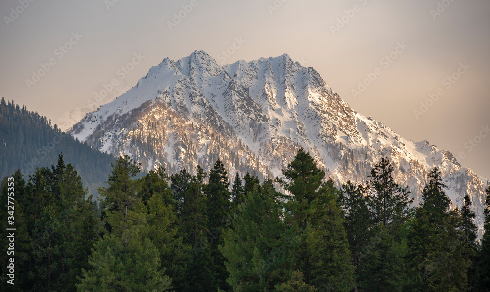 a picture of a snow mountain in pahalgam, kashmir. a picture of a snow mountain in pahalgam, kashmir.