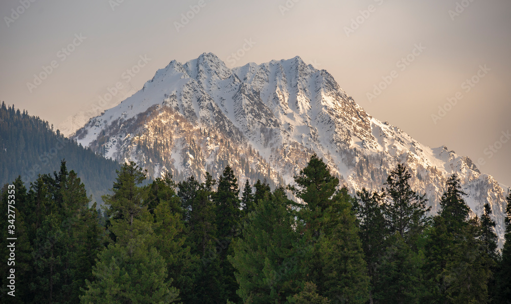 a picture of a snow mountain in pahalgam, kashmir.