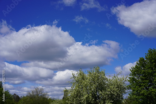 Landschaftsidyll mit Baumkronen  Wolken  blauem Himmel und Sonnenschein