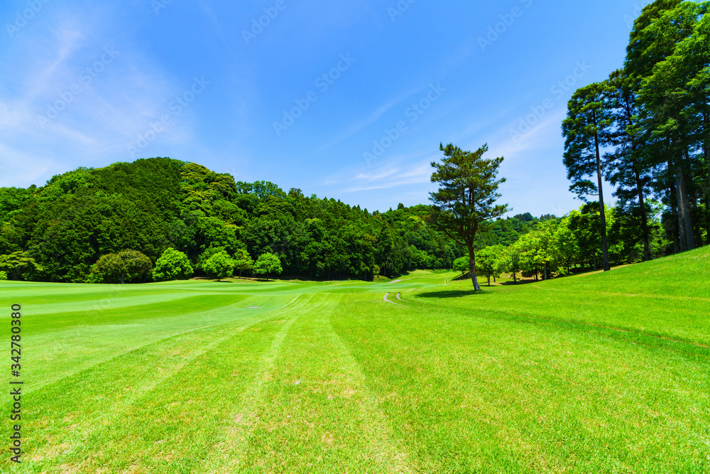 ゴルフコース　ゴルフ場　フェアウェイ　風景　自然　日本　青空　快晴　晴れ　ビジネス　戦略　マナー