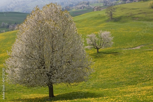 Frühling