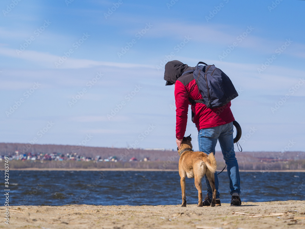 Rear view: a man stroking a dog from the shelter. Rear view: a man stroking a dog from the shelter.