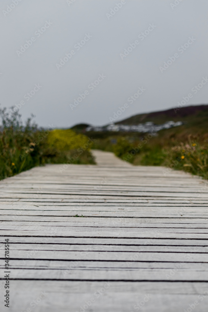 Fototapeta premium Grey sky boardwalk