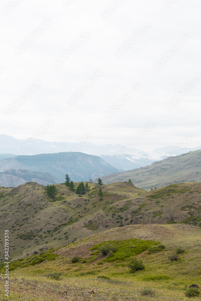 mountain valley for hiking, forest and rocky range on horizon