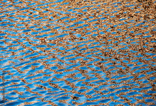 Abstract colorful background from ripples on water surface