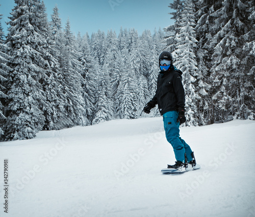 a snowboarder in a black jacket and turquoise pants rolls along a snowy mountain along tall trees strewn with snow.