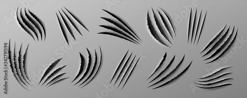 Realistic claws scratch. Rough holes in paper sheet, wild animal paw marks and cat claws. Vector isolated set of beast attack marks, mark animals claw, tearing background