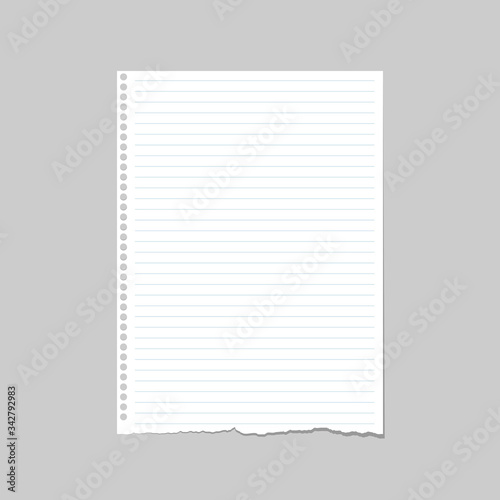 Blank of note paper, notebook sheet with holes