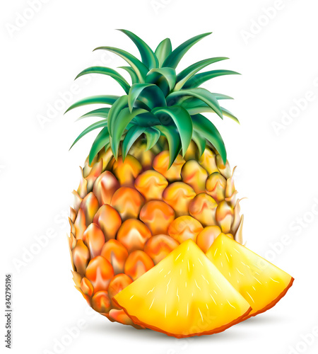 Vector ripe whole and slice pineapple. Realistic fruit isolated on a white background.