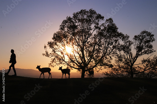 Silhouette of a woman and deer in the sunset