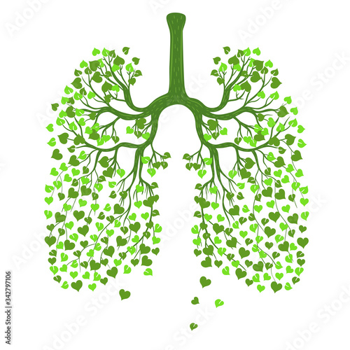 Human lungs from leaves isolate on a white background. Vector graphics.