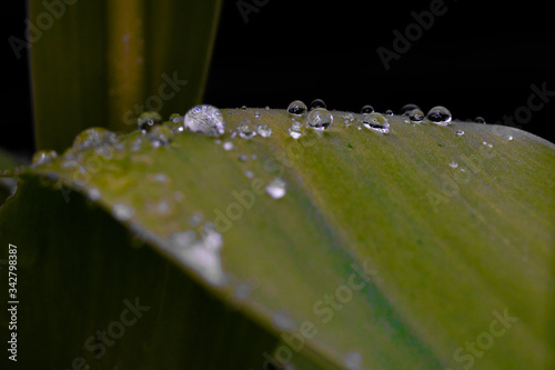group of drops