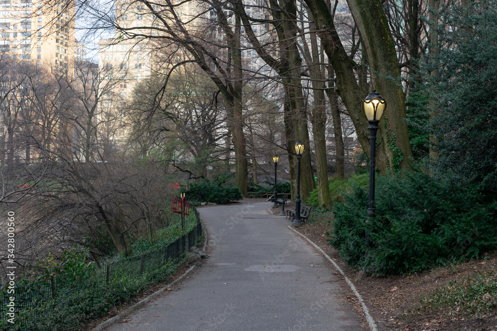 Fototapeta premium Empty Walkway at Central Park during Spring in New York City with Street Lights