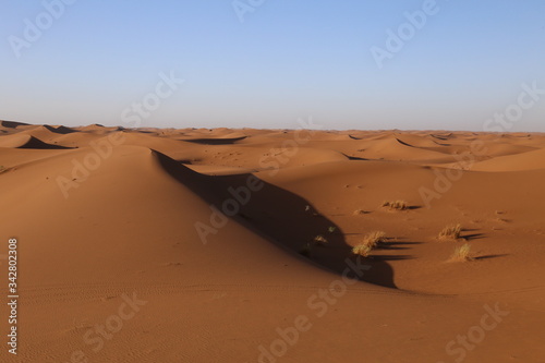 Dunes dans le d  sert Marocain dans la r  gion de Ouarzazate