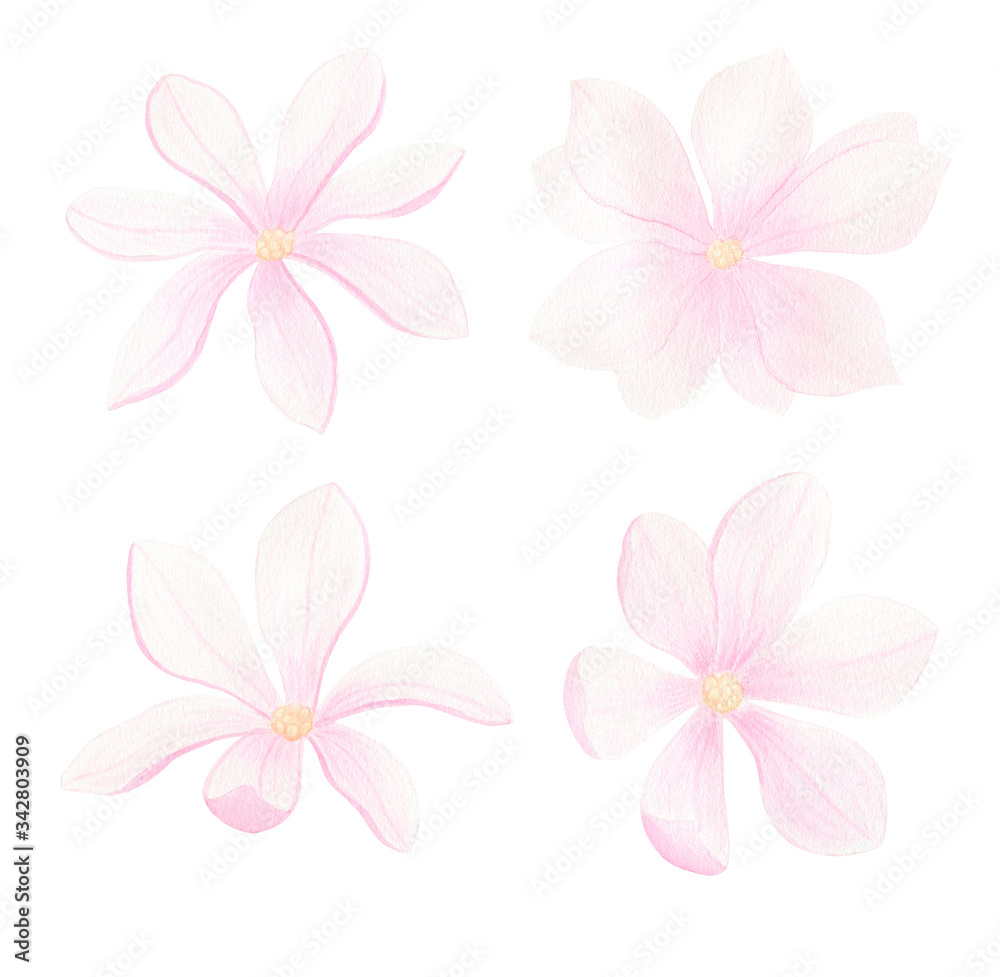 Naklejka premium Magnolia flower watercolor illustration set isolated on white background. Pink flowers for wedding invitation, greeting cards, design. Hand painted floral collection.