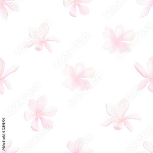  Watercolor hand drawn seamless pattern with magnolia flowers on white background. Spring  summer season textile collection. Perfect for fabric  wrapping paper  wedding invitations. Pink flowers.