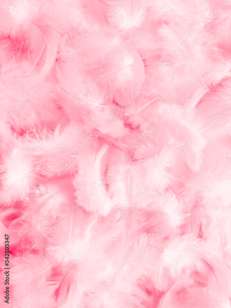 Beautiful abstract white and pink feathers on white background and soft white feather texture on pink  pattern and pink background, feather background, pink banners