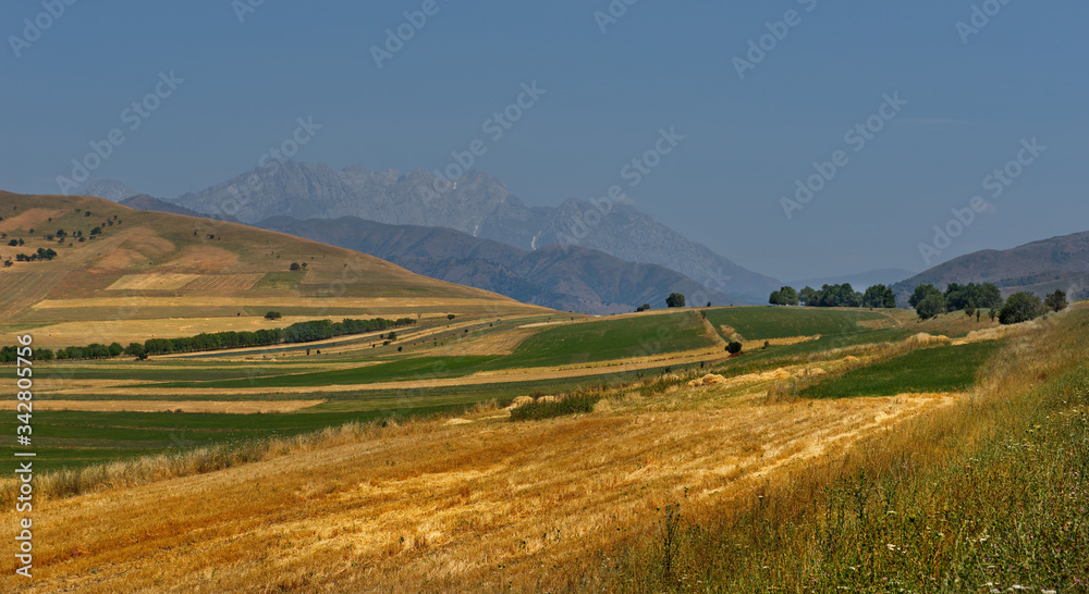 Central Asia. Kyrgyzstan. The North-Eastern section of the Pamir highway near the city of Kara-Alma. High-altitude fertile fields of the Tien Shan