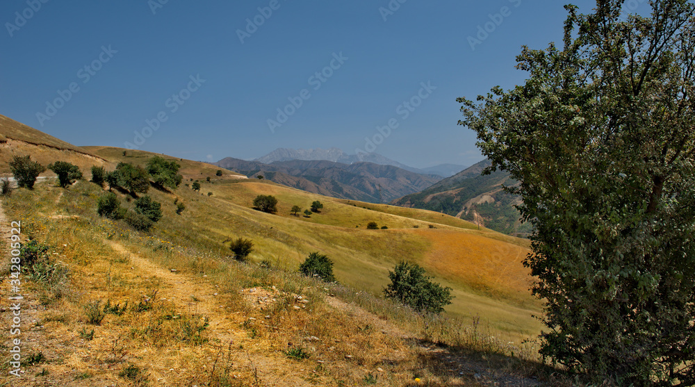 Central Asia. Kyrgyzstan. The North-Eastern section of the Pamir highway near the city of Kara-Alma. High-altitude fertile fields of the Tien Shan Central Asia. Kyrgyzstan. The North-Eastern section of the Pamir highway near the city of Kara-Alma. High-altitude fertile fields of the Tien Shan