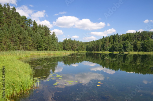 Nature of Seliger. The lake Dohlets in Tver region