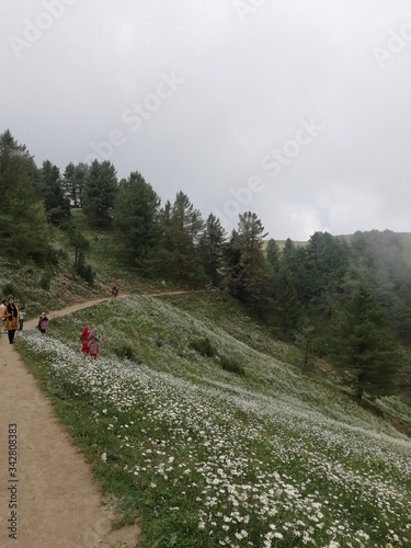 hiking trail in mountains